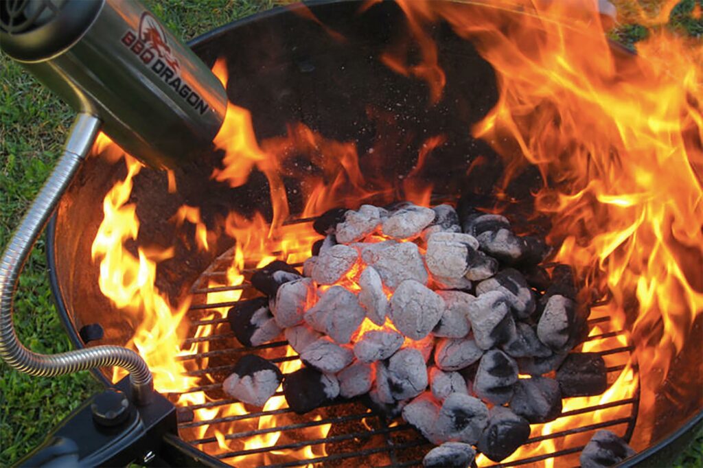 Product Highlight: BBQ Dragon